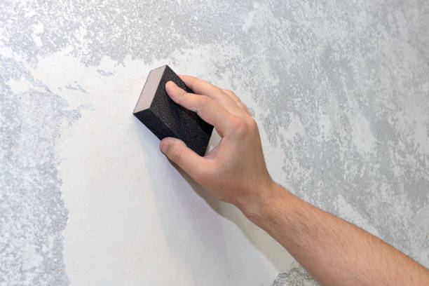 Best Basement Mold Removal  in Hemlock Farms, PA