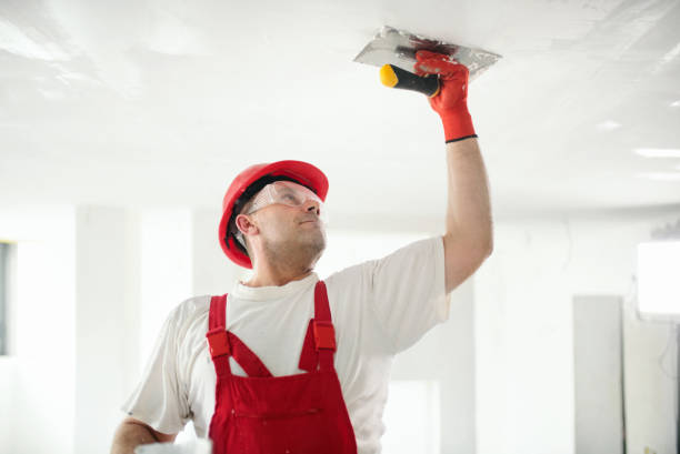 Best Asbestos and Lead Testing During Mold Inspection  in Hemlock Farms, PA