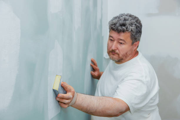 Trusted Hemlock Farms, PA Mold Removal Experts